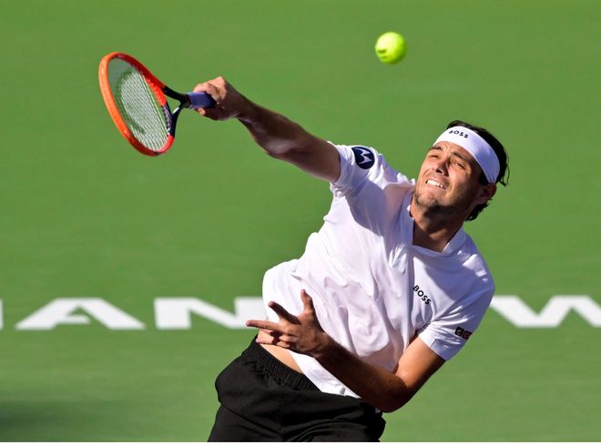 德约科维奇 德约科维奇